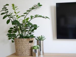 a plant in a wicker vase sitting on a table at Holiday Home Merle by Interhome in Vörden