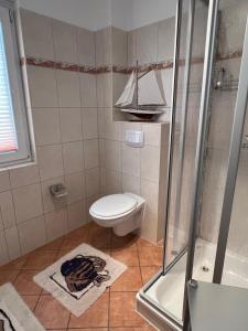 a small bathroom with a toilet and a shower at Apartment Neuensien 11a in Seedorf