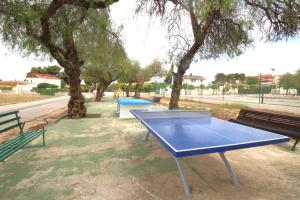 - une table de ping-pong bleue dans un parc arboré dans l'établissement Sea view holiday home sleeps 10, à Murcie
