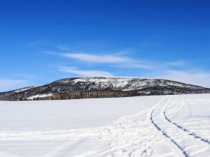 Náttúran í nágrenni íbúðarinnar
