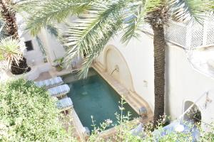 an overhead view of a swimming pool with a palm tree at Dar Shams in Erriadh