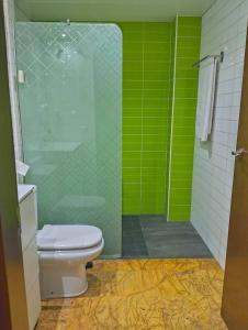 a green bathroom with a toilet and a shower at Moderno y Amplio apartamento Valdeolleros SRosa in Córdoba