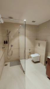 une salle de bain avec douche et toilettes dans l'établissement Ayodhya haat Luxury Cottages, à Ayodhya