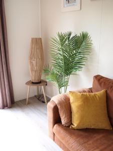 un salon avec un canapé et une plante dans l'établissement Gezellig gemoderniseerd chalet op de Veluwe, à Putten