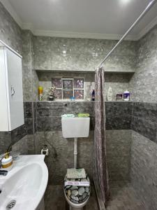 uma casa de banho com um lavatório e um chuveiro em Ano Poli Studios 4 em Tessalônica