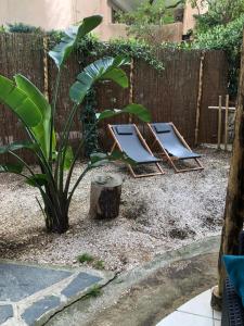 Φωτογραφία από το άλμπουμ του Appartement Rez de Jardin σε Cavalaire-sur-Mer