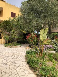 Φωτογραφία από το άλμπουμ του Appartement Rez de Jardin σε Cavalaire-sur-Mer +26 φωτογραφίες