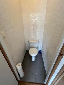 a small bathroom with a toilet in a stall at Sainghin's Break in Sainghin-en-Mélantois