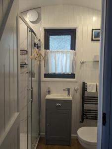 La salle de bains est pourvue d'un lavabo, de toilettes et d'une fenêtre. dans l'établissement Rusty Duck Retreat Shepherds Hut, à Shedfield
