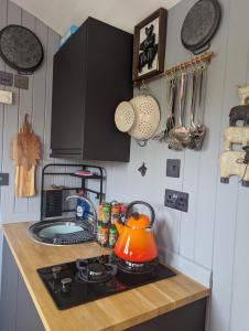 - une bouilloire pour le thé orange sur une cuisinière dans la cuisine dans l'établissement Rusty Duck Retreat Shepherds Hut, à Shedfield