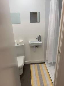 ein weißes Badezimmer mit Toilette und Waschbecken in der Unterkunft Garden Apartment with free Parking and EV in Bristol