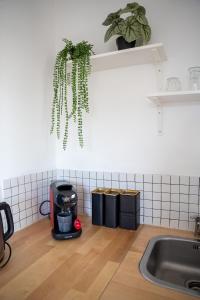 a kitchen with a toaster on the counter with a plant at Huisje Kerkepad in Gorredijk