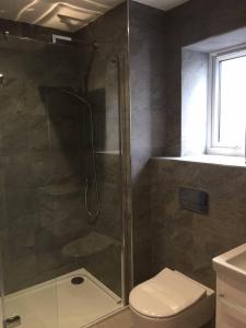 a bathroom with a shower with a toilet and a sink at Relax in style at my stunning Holywell Beach home in Holywell Bay +18 photos