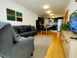 a living room with a couch and a flat screen tv at Apartamento Baztan - Arraioz in Arráyoz