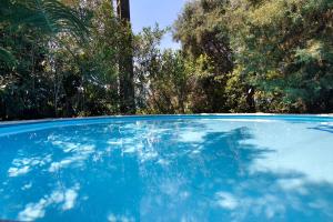 une piscine bleue avec des arbres en arrière-plan dans l'établissement Quinta de Loubite - Jacarandá, à Lagoa