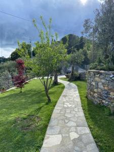 a stone pathway with a tree in a yard at Sunrise Holiday Home in Camogli