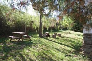 A garden outside Casa 4 vents