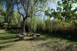 A garden outside Casa 4 vents