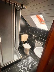 a bathroom with a toilet and a shower and a sink at Juhász Apartman in Gyenesdiás