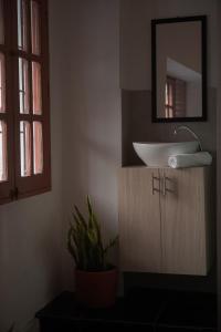 a bathroom with a sink and a potted plant at Casablanca Hotel - Centro Histórico in Santa Marta