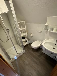 La salle de bains est pourvue d'une douche, de toilettes et d'un lavabo. dans l'établissement Gasthaus Fischerrosl, à Münsing