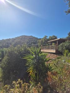 a house with a palm tree in front of a mountain at Chalet maisonette dans hameau calme in Bonifacio