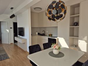 Kuchyň nebo kuchyňský kout v ubytování Iris apartman