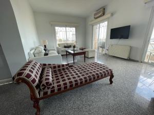 a living room with a couch and a tv at Spacious Apartment by Platform 357 in Nicosia