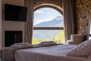 塞尼梅西奇卡罗Άνδηρο的卧室设有大窗户、一张床和电视。