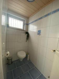 a bathroom with a toilet and a window at Ferienvermietung Kallenbachtal in Löhnberg