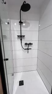 a shower with a glass door with a shower head at Apartament Poleska in Częstochowa