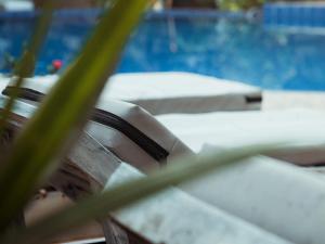 a close up of a plant next to a pool at Sundaras Resort & Spa Dambulla in Dambulla
