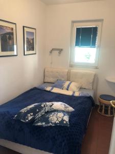 sypialnia z łóżkiem z niebieską pościelą i oknem w obiekcie Apartment Simo w mieście Herceg Novi