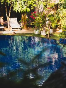 丹布勒的住宿－Sundaras Resort & Spa Dambulla，长凳和植物的水池