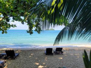 zwei Stühle und eine Palme am Strand in der Unterkunft Koh Chang Cliff Beach Resort in Ko Chang
