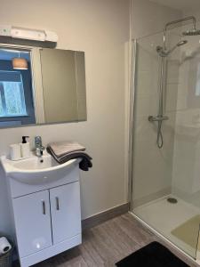 a bathroom with a sink and a shower at Bay Area House, Spiddal in Spiddal