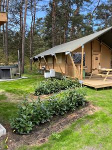 ein Haus mit einer Veranda und einer Terrasse mit Pflanzen in der Unterkunft Glampingzelt Family - Lodge in Soltau