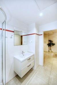 ein weißes Bad mit einem Waschbecken und einer Dusche in der Unterkunft Appartement moderne et élégant a Paris 5 - 4P in Paris