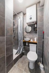 a small bathroom with a toilet and a shower at Studio proche sacre cœur - Paris 9 -2P in Paris