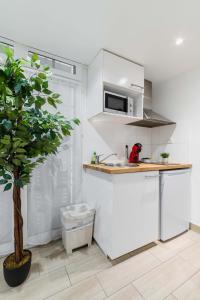 una cucina bianca con lavandino e albero di Espace moderne 40m2 a deux pas de Paris - 4P a Les Lilas