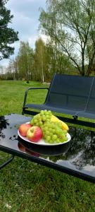 a plate of fruit on a table on a picnic table at Domek Karłowo u Eli in Sierakowice