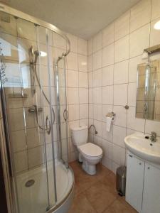 a bathroom with a shower and a toilet and a sink at Spiska Sadyba in Łapsze Niżne