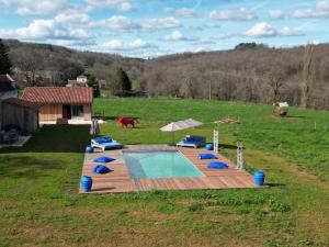 a swimming pool with blue chairs and a horse in a field at La Demeure en Périgord in Anlhiac