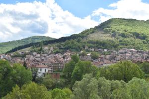 una ciudad en una colina con casas y árboles en Casa Lehovo, en Lechovo