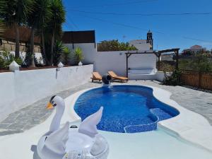dois cisnes estão sentados numa piscina em Casa Bernarda with Heated Pool em La Cisnera