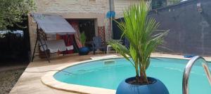 eine Pflanze in einem blauen Topf neben einem Pool in der Unterkunft Chambre cosy pour 2 personnes in Chef-Boutonne