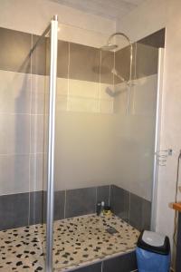 prysznic ze szklanymi drzwiami w łazience w obiekcie Chambre cosy pour 2 personnes w mieście Chef-Boutonne