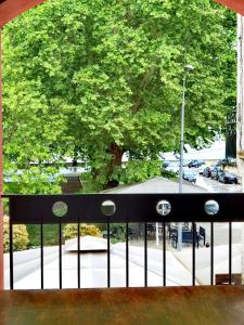 a view of a large tree from a window at Z Inn Ioannina in Ioannina