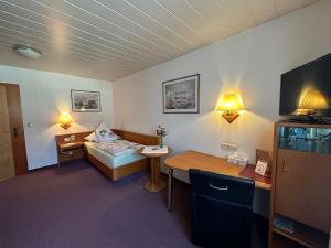 een kamer met een bed, een bureau en een televisie bij Pension Göppner in Bad Neustadt an der Saale