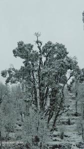 マクロード・ガンジにあるAbhi houseのギャラリーの写真